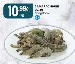 Camarão-Tgre 20/30