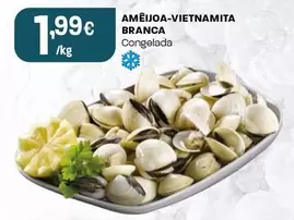 Amêijoa-Vietnamita Branca