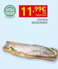 Aquacultura - Corvina
