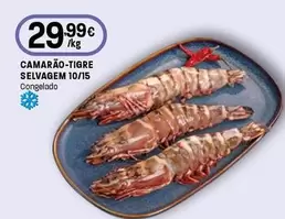 Camarão-Tigre Selvagem 10/15
