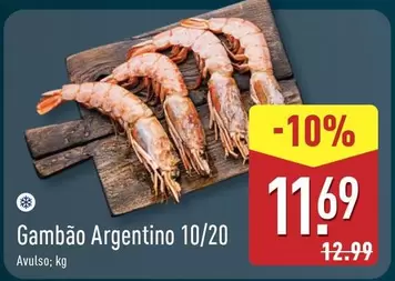 Gambão Argentino 10/20
