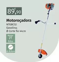 Motorola - Motofocadora