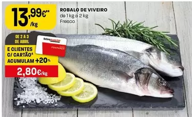 Robalo De Viveiro 