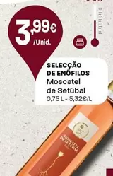 Selecção De Enófilos - Moscatel De Setúbal