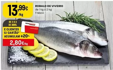 Robalo De Viveiro