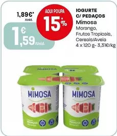 Mimosa - Iogurte C/ Pedaços