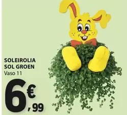 Sol - eirolia  Groen