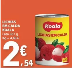 koala - Lichias Em Calda