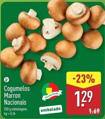 Cogumelos Marron Nacionals