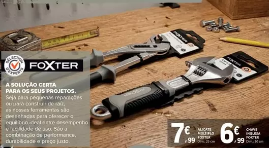 As - A Spugna Cebra Para Os Segur Projetos