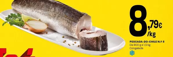 Pescada-Do-Chile No.3