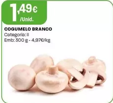 Cogumelo Branco