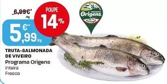 Programa Origens - Truta-Salmonada De Viveiro