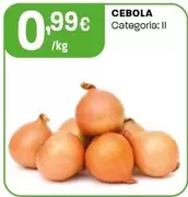 Cebola