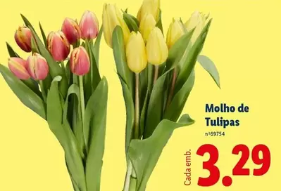 Molho De Tulipas