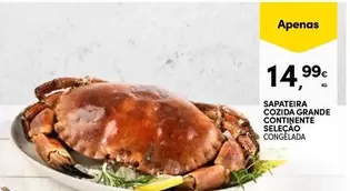 Continente - Sapateira Cozida Grande Contimente Selecao