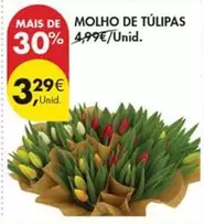 Molho De Tulipas