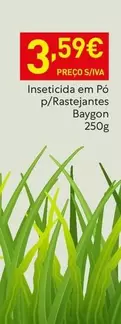 Baygon - Inseticida Em Pó P/ Rastejantes