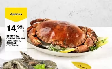 Continente - Sapatiera Coxina Grande Celera Higiene Congelada