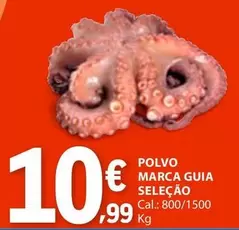 Marca Guia - Polvo Selecao