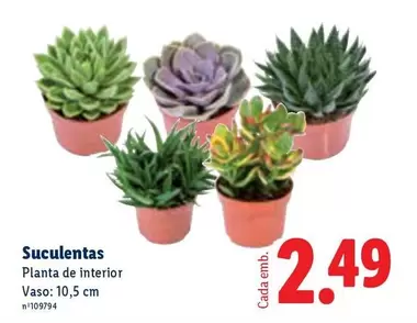 Planta -  De Interior