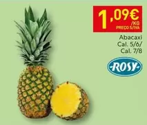 Abacaxi Cal. 5/6/ Cal. 7/8