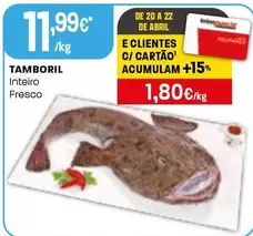 Tamboril Inteiro Fresco