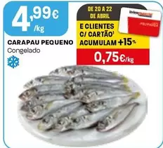 Carapau Pequeno Congelado