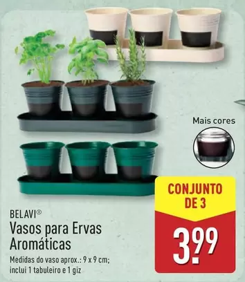 Vasos Para Ervas Aromaticas