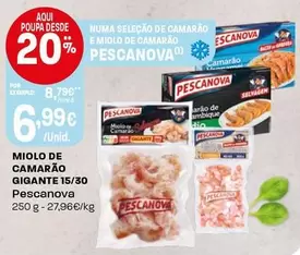 Pescanova - Miolo De Camarão Gigante 15/30