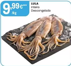 Lula Inteira Descongelada