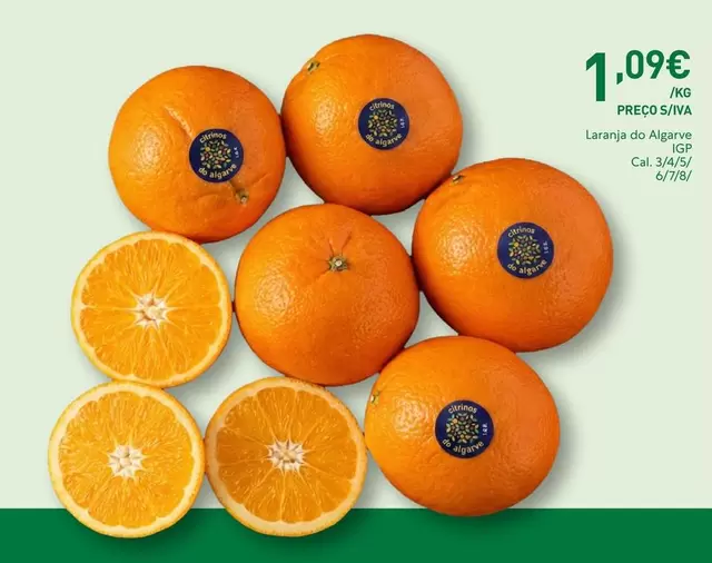 Algarve - Laranja Do Al Ajrone