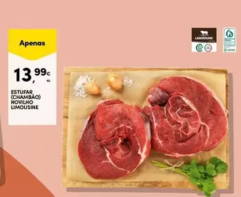 Espujar (champao Novilho Limousine