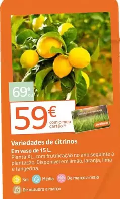Variedades De Citrinos 