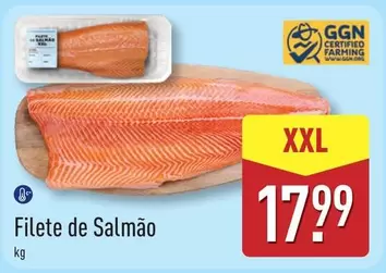 XXL - Filete De Salmão