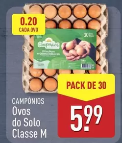 Campofrio - Camponi Ovos Do Solo Classe M