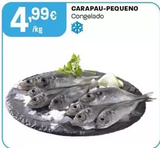 Carapau-Pequeno