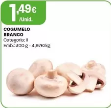 Cogumelo Branco