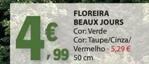 beaux jours - Floreira Beaux Jours