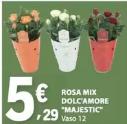 Mix - Rosa  Dolc'amore "Majestic"