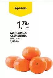 Mandarina/Clementina