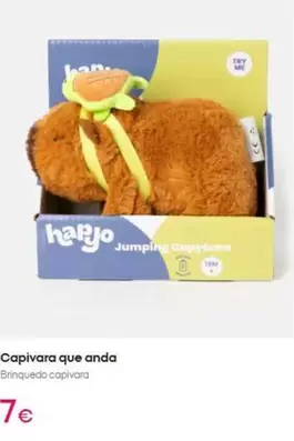 Capivara Que Anda