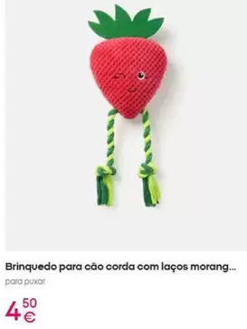 .Com - Brinquedo Para Cão Corda Com Laços Morang