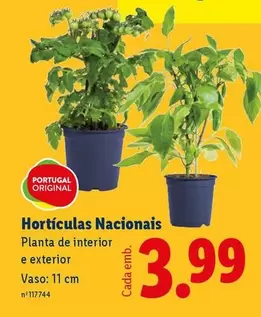 portugal - Horticulas Nacionals