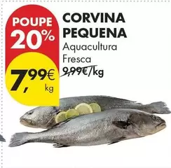 Aquacultura - Corvina Pequena