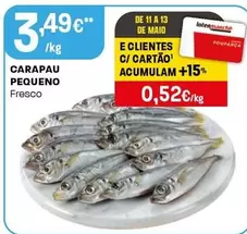Carapau Pequeno
