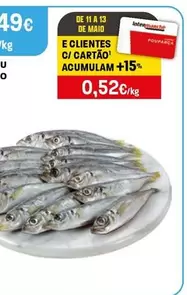 Carapau Pequeno