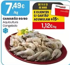 Camarão 60/80