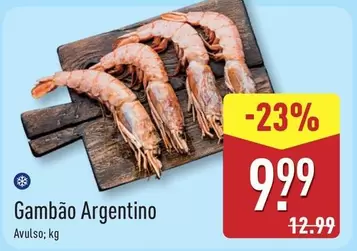 Gambão Argentino