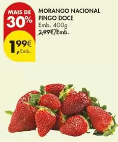 Nacional - Morango  Pingo Doce